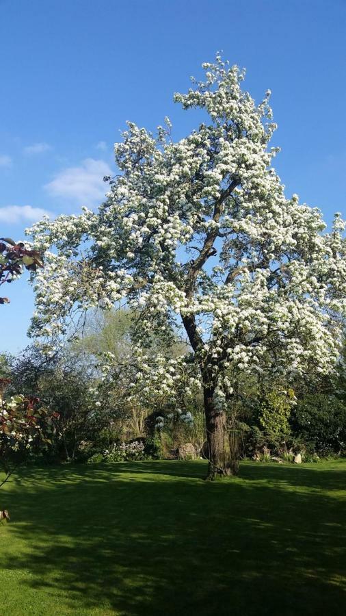 Upper Wood End Farm Bed & Breakfast Marston Moreteyne ภายนอก รูปภาพ