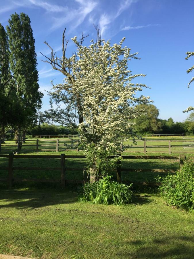 Upper Wood End Farm Bed & Breakfast Marston Moreteyne ภายนอก รูปภาพ